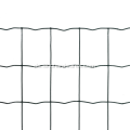 PVC Holland Wire Mesh in Rollen